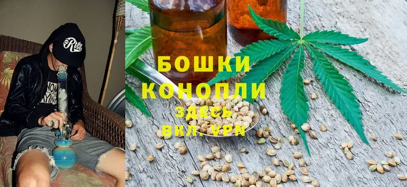 Конопля OG Kush  Саратов 